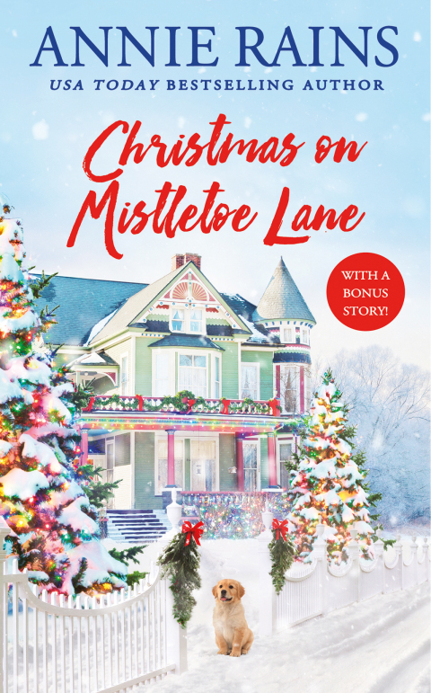 Cover image for book Christmas on Mistletoe Lane