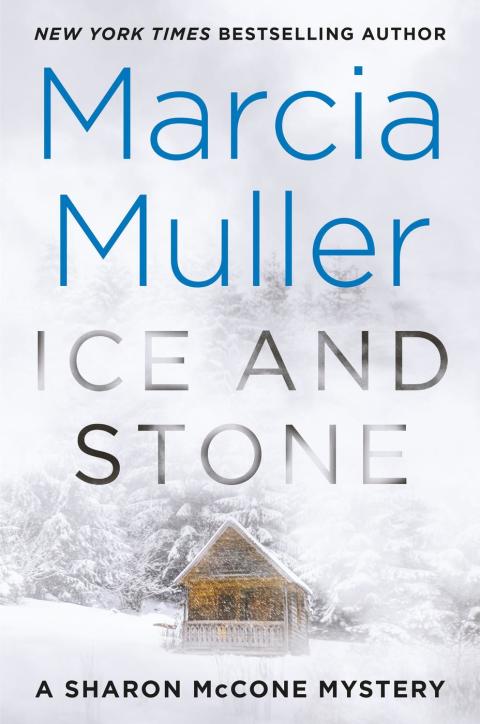 Cover image for book Ice and Stone