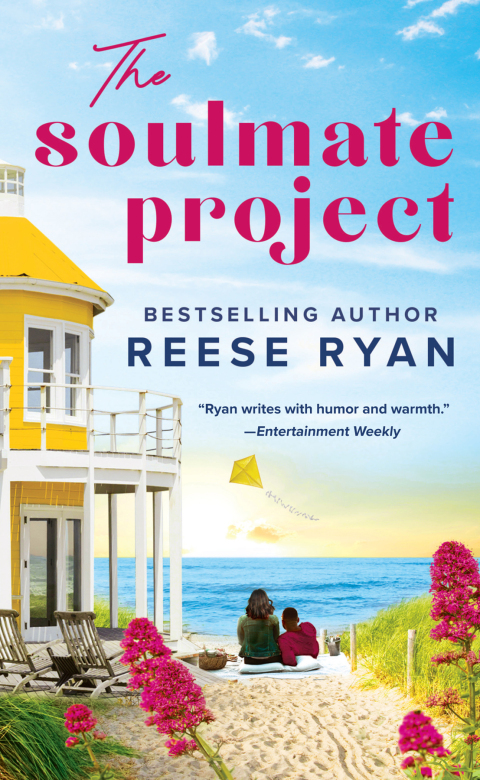 Cover image for book The Soulmate Project