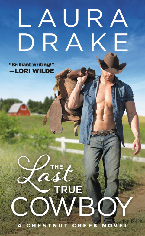 Cover image for book The Last True Cowboy