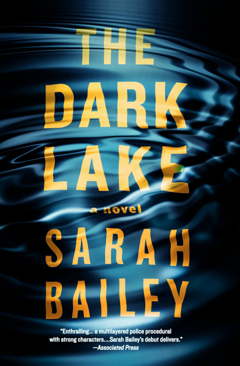 Cover image for book The Dark Lake