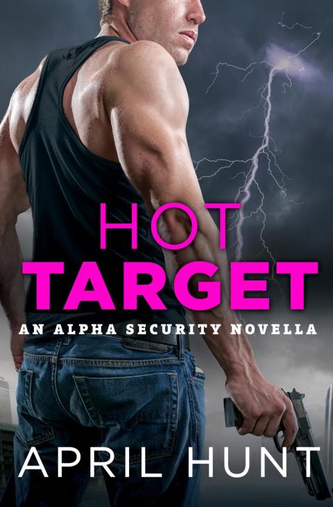 Cover image for book Hot Target