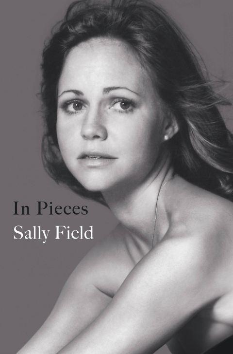Cover image for book In Pieces