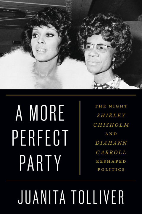 Cover image for book A More Perfect Party