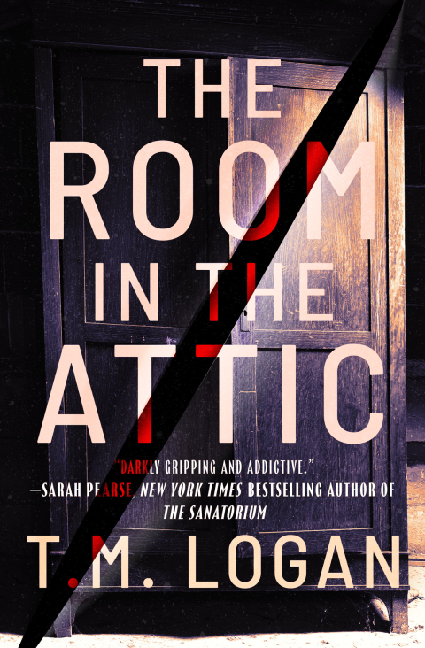Cover image for book The Room in the Attic