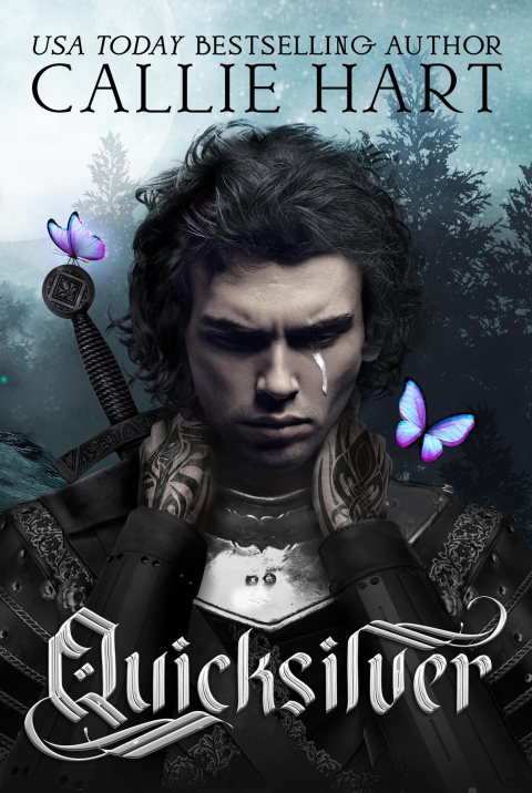 Cover image for book Quicksilver