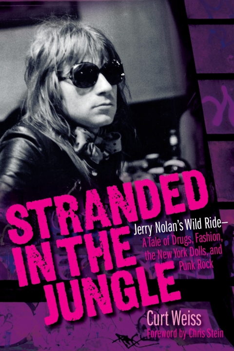 Cover image for book Stranded in the Jungle