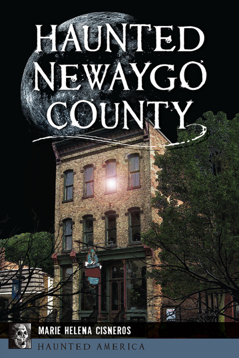 Cover image for book Haunted Newaygo County