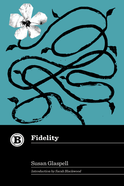 Cover image for book Fidelity