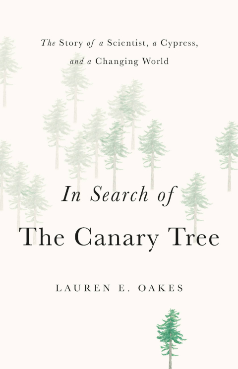 Cover image for book In Search of the Canary Tree