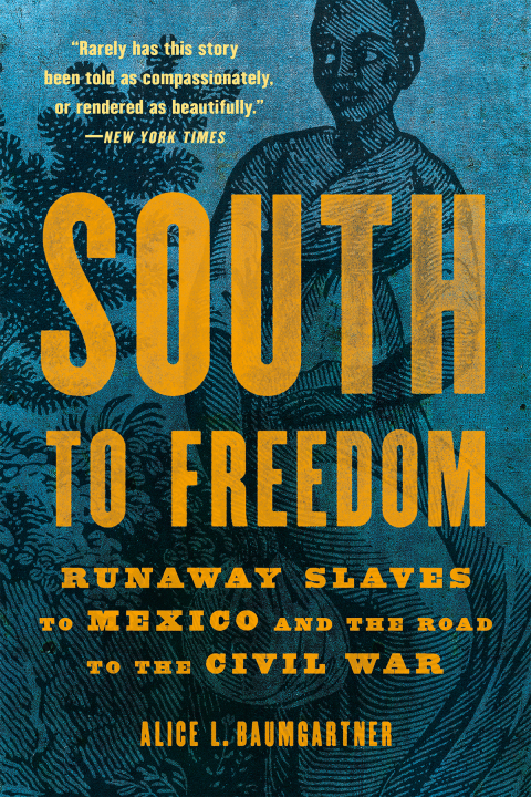 Cover image for book South to Freedom