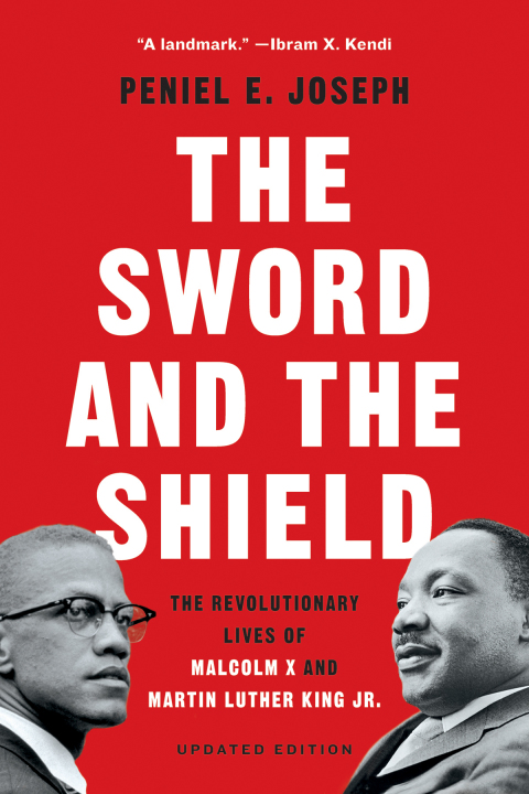 Cover image for book The Sword and the Shield