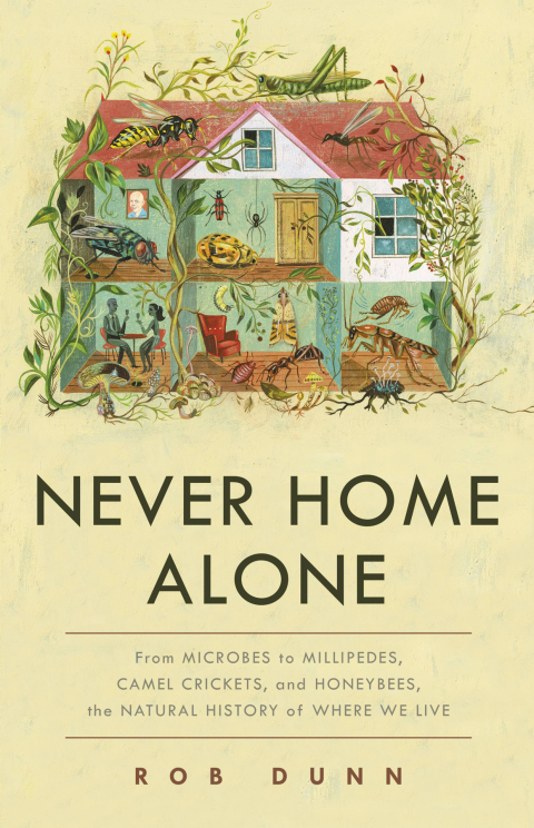 Cover image for book Never Home Alone