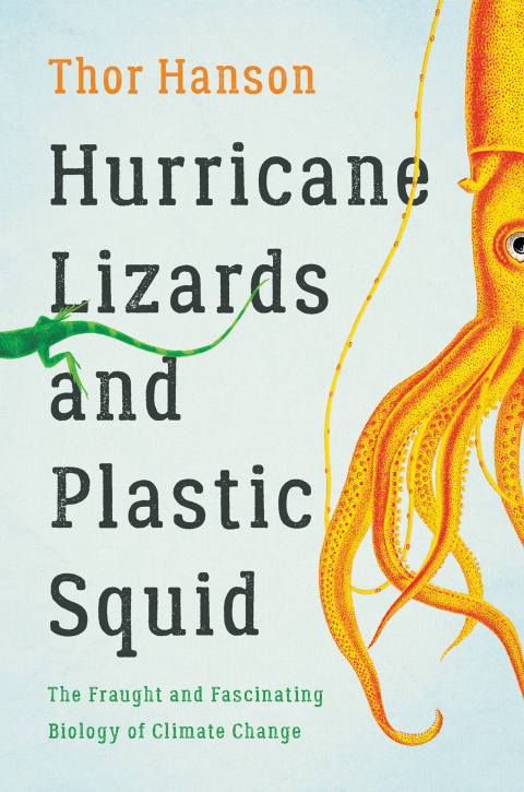 Cover image for book Hurricane Lizards and Plastic Squid