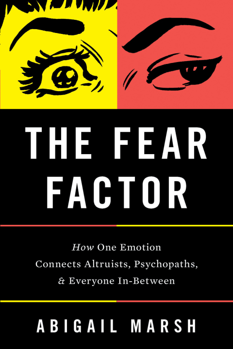 Cover image for book The Fear Factor