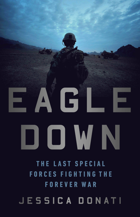 Cover image for book Eagle Down
