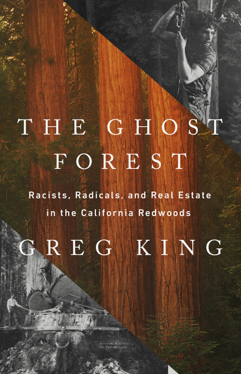 Cover image for book The Ghost Forest