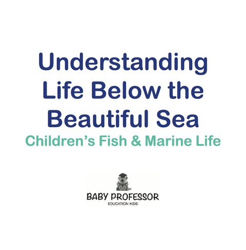 Cover image for book Understanding Life Below the Beautiful Sea | Children's Fish & Marine Life