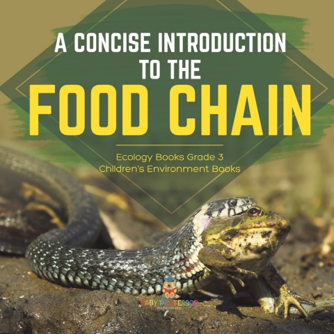 Cover image for book A Concise Introduction to the Food Chain | Ecology Books Grade 3 | Children's Environment Books