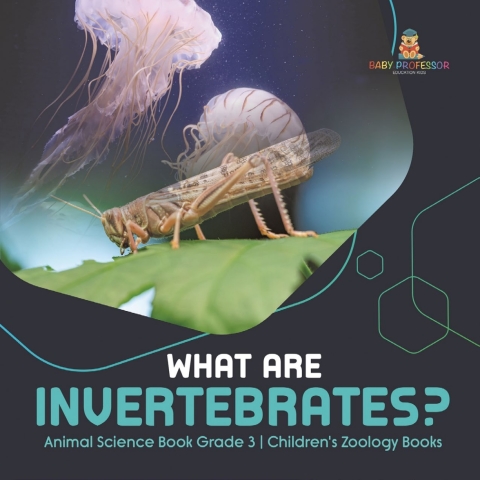 Cover image for book What Are Invertebrates? | Animal Science Book Grade 3 | Children's Zoology Books