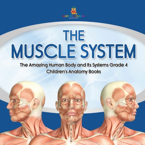 Cover image for book The Muscle System | The Amazing Human Body and Its Systems Grade 4 | Children's Anatomy Books