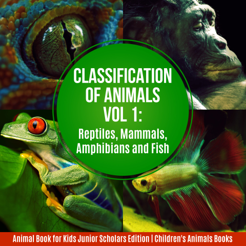 Cover image for book Classification of Animals Vol 1 : Reptiles, Mammals, Amphibians and Fish | Animal Book for Kids Junior Scholars Edition | Children's Animals Books