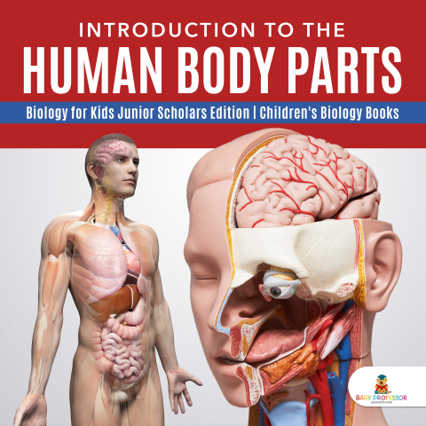 Cover image for book Introduction to the Human Body Parts | Biology for Kids Junior Scholars Edition | Children's Biology Books