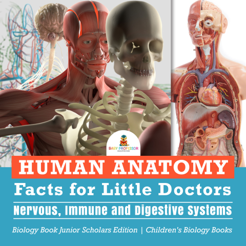 Cover image for book Human Anatomy Facts for Little Doctors : Nervous, Immune and Digestive Systems | Biology Book Junior Scholars Edition | Children's Biology Books