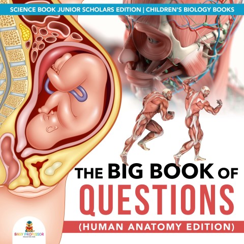 Cover image for book The Big Book of Questions (Human Anatomy Edition) | Science Book Junior Scholars Edition | Children's Biology Books