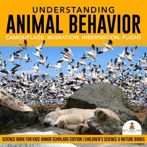 Cover image for book Understanding Animal Behavior : Camouflage, Migration, Hibernation, Flight | Science Book for Kids Junior Scholars Edition | Children's Science & Nature Books