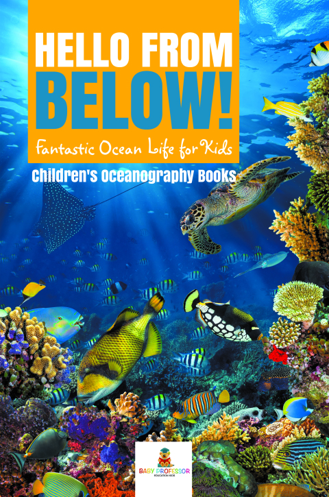 Cover image for book Hello from Below! : Fantastic Ocean Life for Kids | Children's Oceanography Books