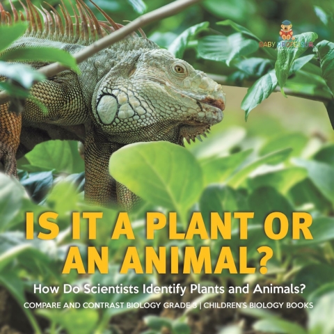 Cover image for book Is It a Plant or an Animal? How Do Scientists Identify Plants and Animals? | Compare and Contrast Biology Grade 3 | Children's Biology Books