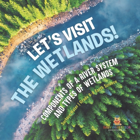 Cover image for book Let's Visit the Wetlands! Components of a River System and Types of Wetlands | Surface Water | Grade 6-8 Earth Science