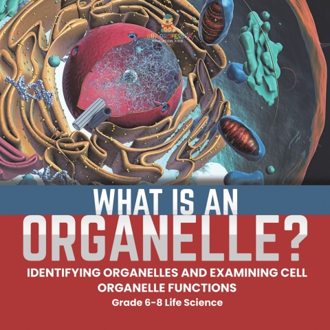 Cover image for book What is an Organelle? Identifying Organelles and Examining Cell Organelle Functions | Grade 6-8 Life Science