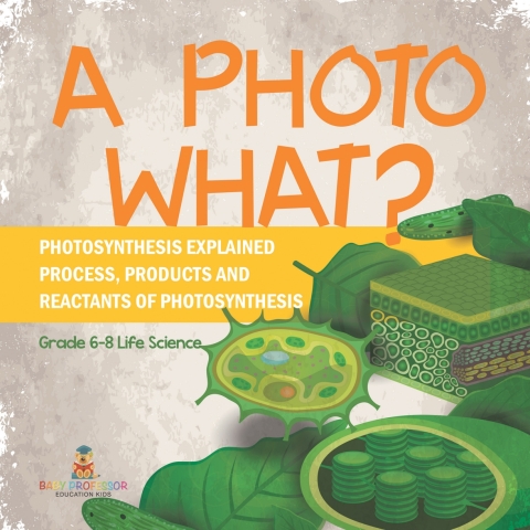 Cover image for book A Photo What? Photosynthesis Explained | Process, Products and Reactants of Photosynthesis | Grade 6-8 Life Science