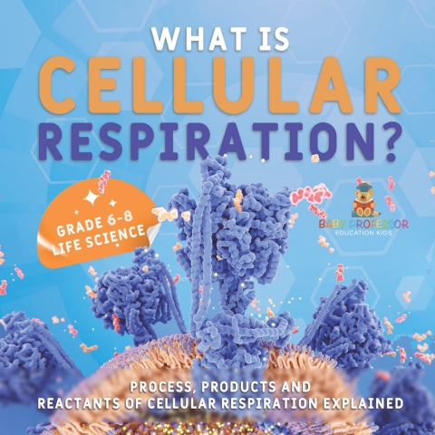 Cover image for book What is Cellular Respiration? Process, Products and Reactants of Cellular Respiration Explained | Grade 6-8 Life Science