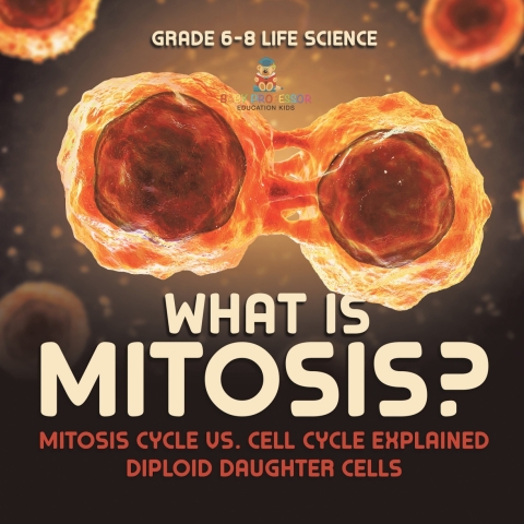 Cover image for book What is Mitosis? Mitosis Cycle vs. Cell Cycle Explained | Diploid Daughter Cells | Grade 6-8 Life Science