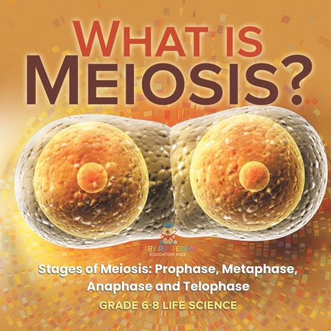 Cover image for book What is Meiosis? Stages of Meiosis, Prophase, Metaphase, Anaphase and Telophase | Grade 6-8 Life Science