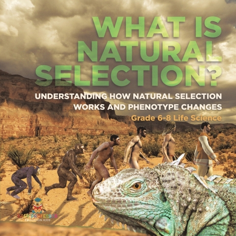 Cover image for book What is Natural Selection? Understanding How Natural Selection Works and Phenotype Changes | Grade 6-8 Life Science