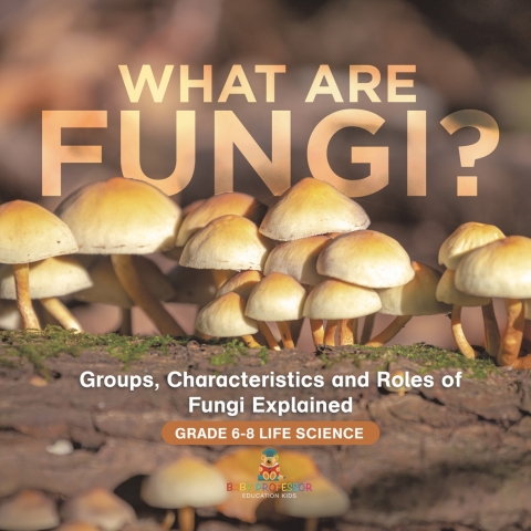 Cover image for book What are Fungi? Groups, Characteristics and Roles of Fungi Explained | Grade 6-8 Life Science