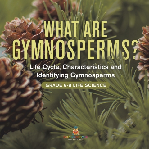 Cover image for book What are Gymnosperms? Life Cycle, Characteristics and Identifying Gymnosperms | Grade 6-8 Life Science