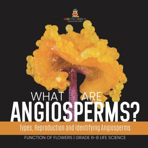 Cover image for book What are Angiosperms? Types, Reproduction and Identifying Angiosperms | Function of Flowers | Grade 6-8 Life Science