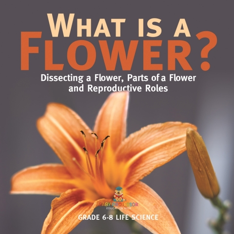 Cover image for book What is a Flower? Dissecting a Flower, Parts of a Flower and Reproductive Roles | Grade 6-8 Life Science
