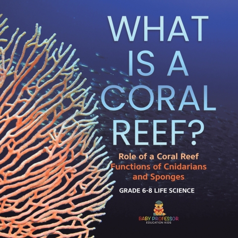 Cover image for book What is a Coral Reef? Role of a Coral Reef | Functions of Cnidarians and Sponges | Grade 6-8 Life Science