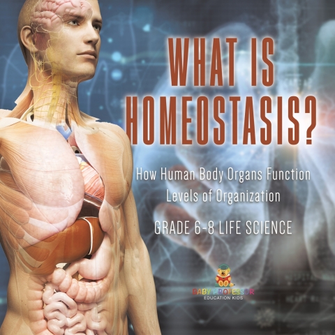 Cover image for book What is Homeostasis? How Human Body Organs Function | Levels of Organization | Grade 6-8 Life Science