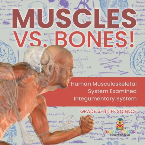 Cover image for book Muscles vs. Bones! Human Musculoskeletal System Examined | Integumentary System | Grade 6-8 Life Science