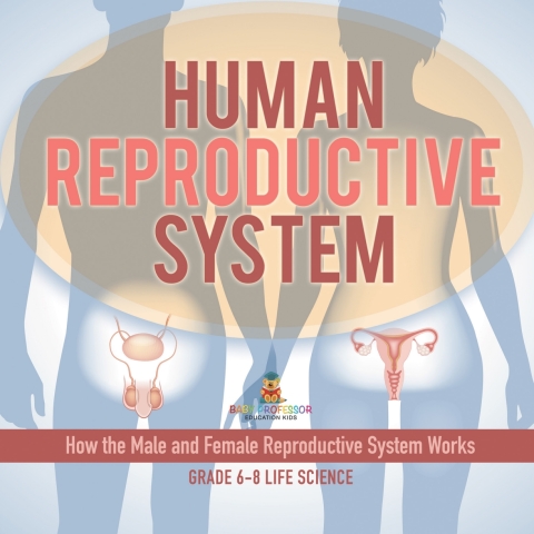 Cover image for book Human Reproductive System | How the Male and Female Reproductive System Works | Grade 6-8 Life Science