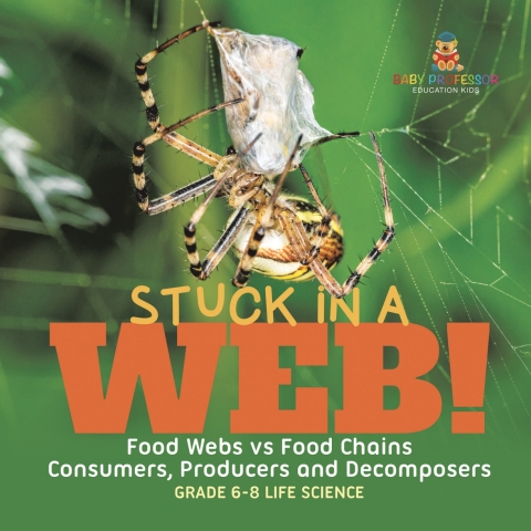 Cover image for book Stuck in a Web! Food Webs vs Food Chains | Consumers, Producers and Decomposers | Grade 6-8 Life Science