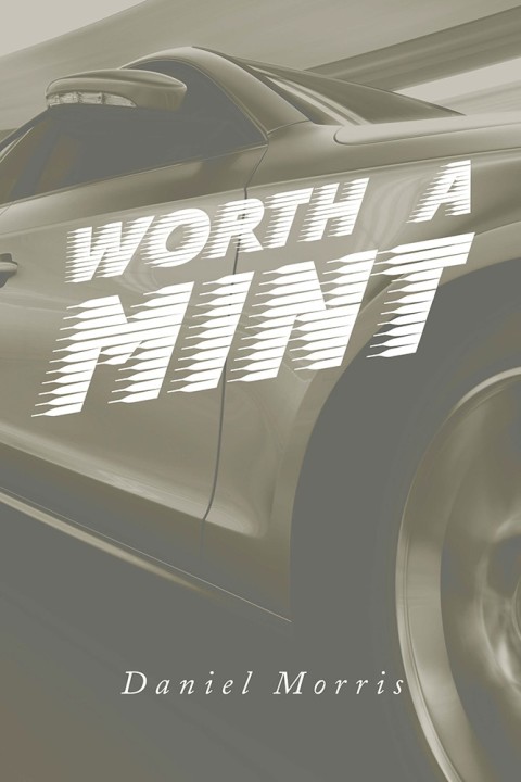 Cover image for book Worth a Mint
