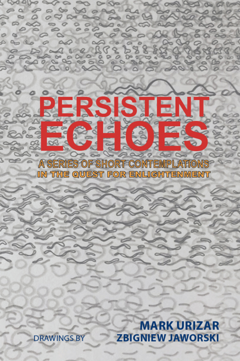 Cover image for book Persistent Echoes